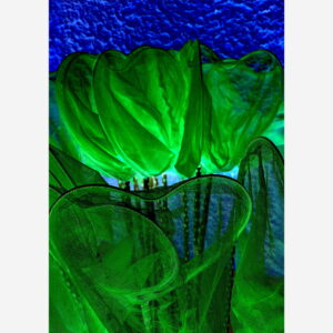 Submerged Light