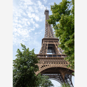 Postcards from Paris: A Symphony of Steel and Leaves